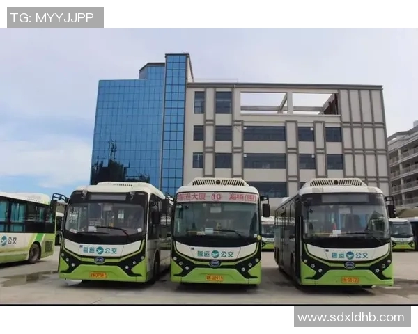 武汉篮球队转型之路的真实记录与发展历程探索