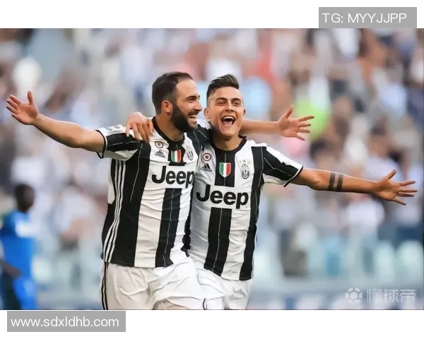 深圳网球队的崛起之路：从默默无闻到大师赛的辉煌历程